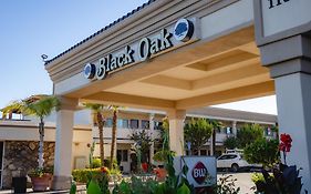 Best Western Plus Black Oak